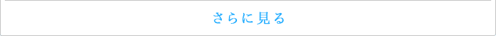 さらに見る